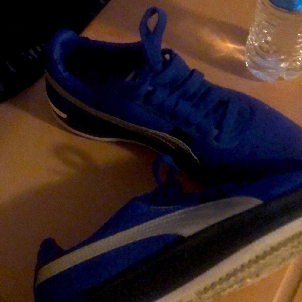 Puma